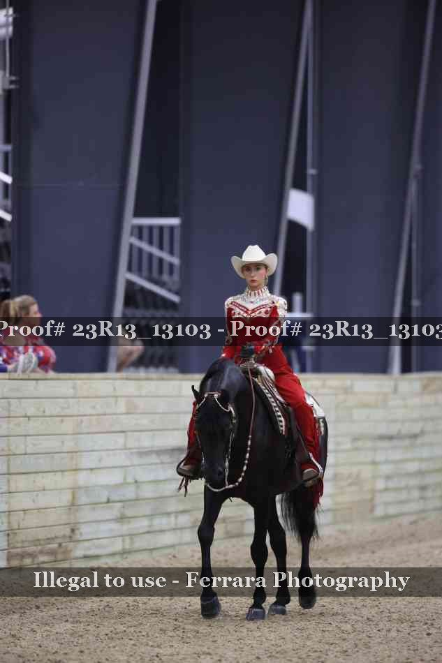 Proof 23R13_13103