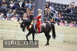23R13_13134 proof
