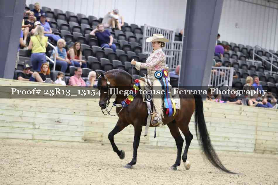 Proof 23R13_13154