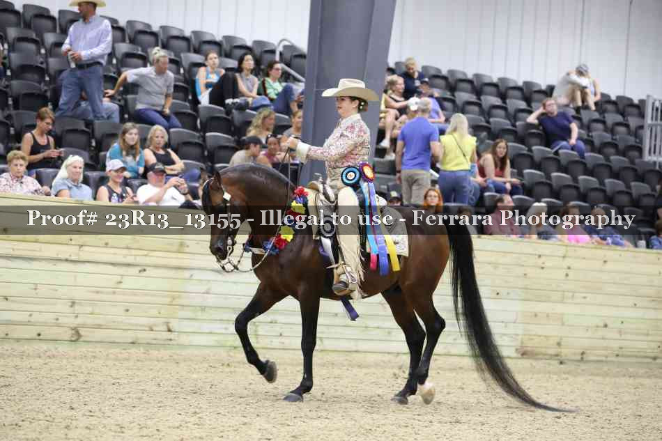 Proof 23R13_13155