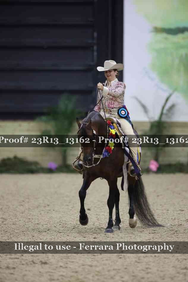 Proof 23R13_13162
