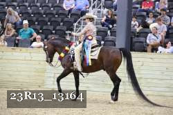 23R13_13164 proof
