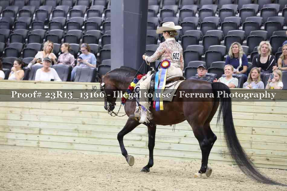 Proof 23R13_13166