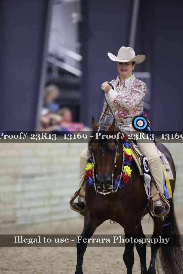 Proof 23R13_13169