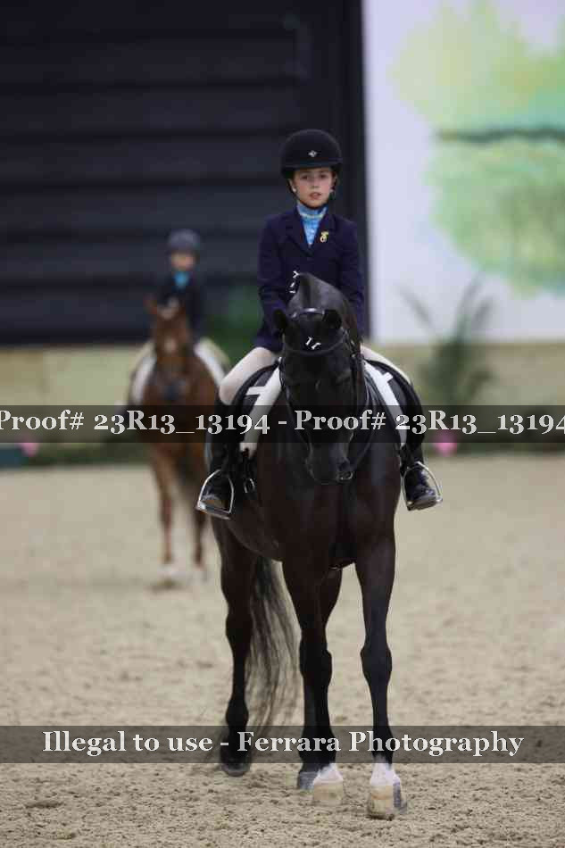 Proof 23R13_13194