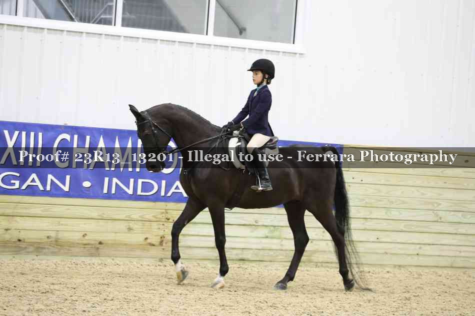 Proof 23R13_13201