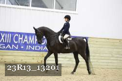 23R13_13201 proof