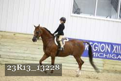 23R13_13228 proof
