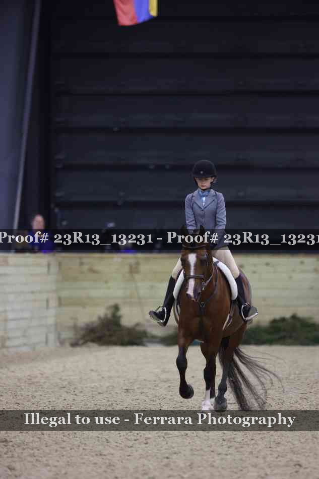 Proof 23R13_13231