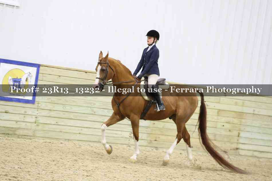 Proof 23R13_13232