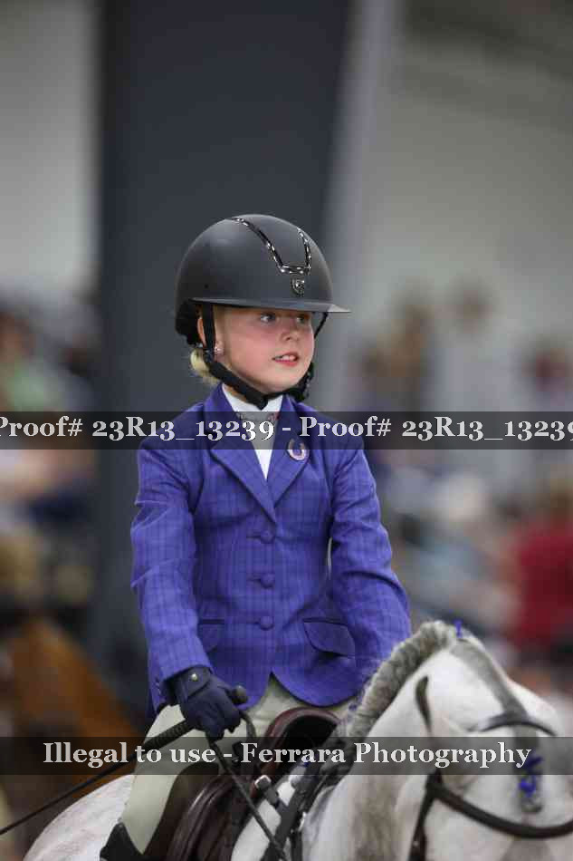 Proof 23R13_13239