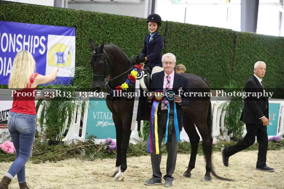 Proof 23R13_13263