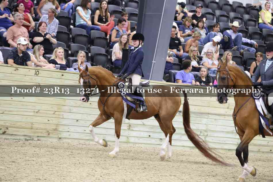 Proof 23R13_13271