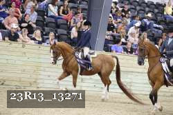 23R13_13271 proof