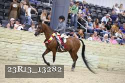 23R13_13282 proof