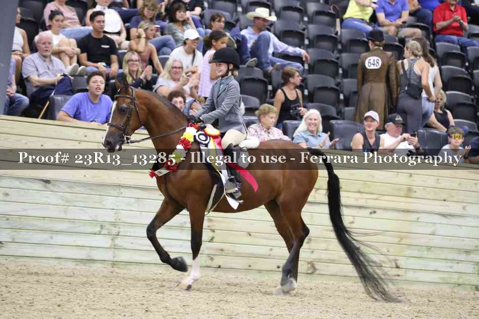 Proof 23R13_13285