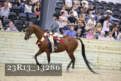23R13_13286 proof