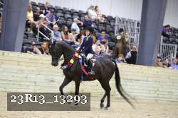 23R13_13293 proof