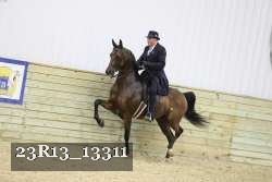 23R13_13311 proof