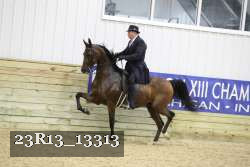 23R13_13313 proof
