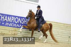 23R13_13317 proof