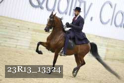 23R13_13324 proof