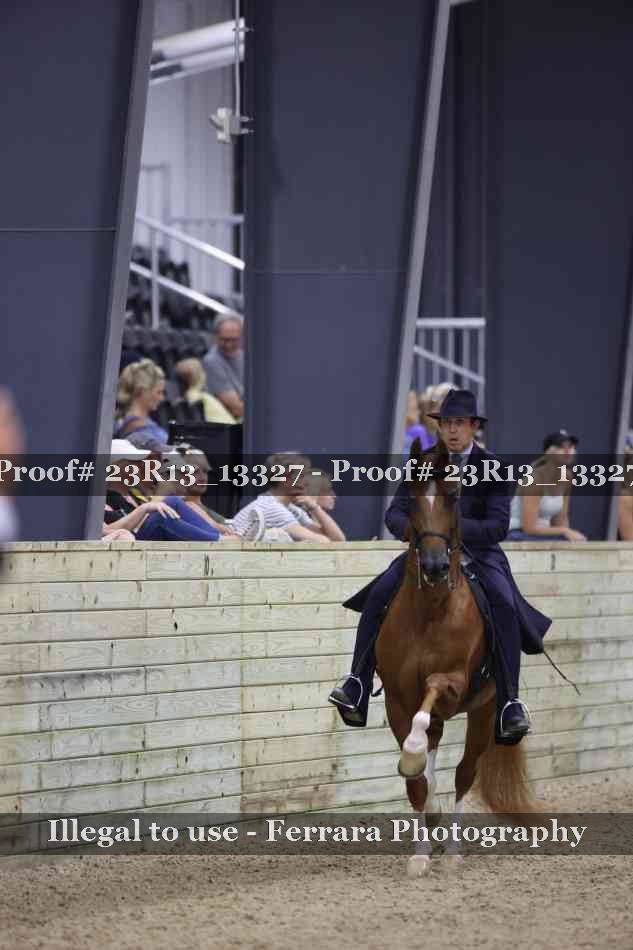 Proof 23R13_13327