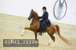 23R13_13329 proof