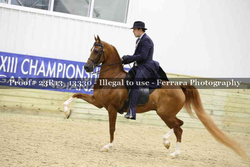 Proof 23R13_13330