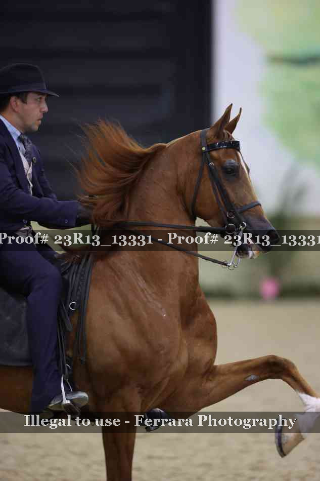 Proof 23R13_13331