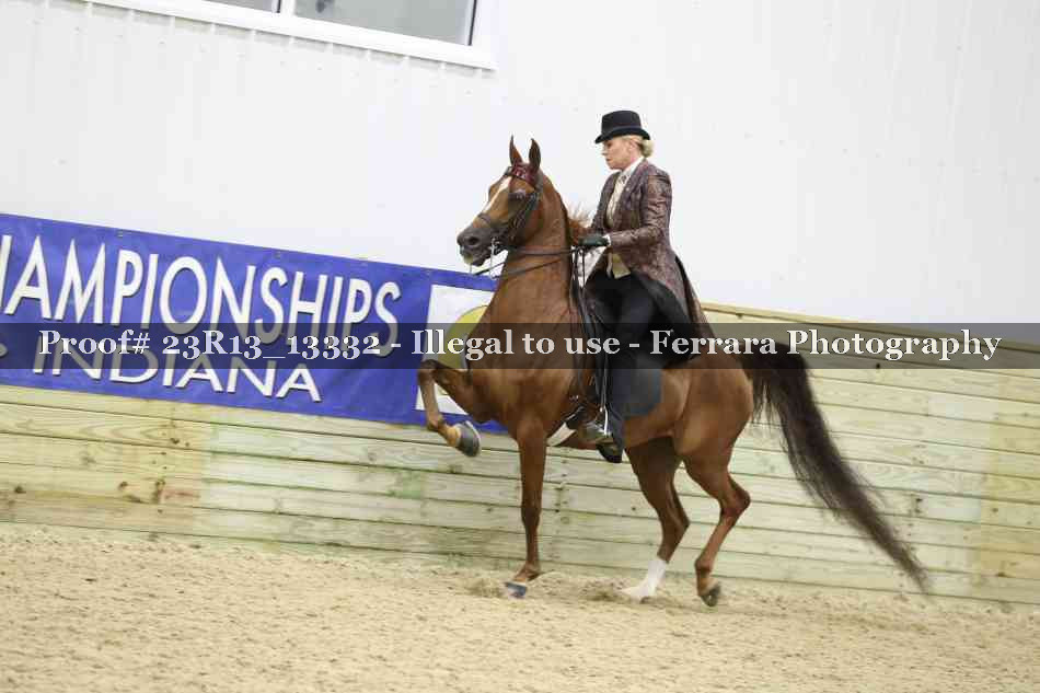 Proof 23R13_13332