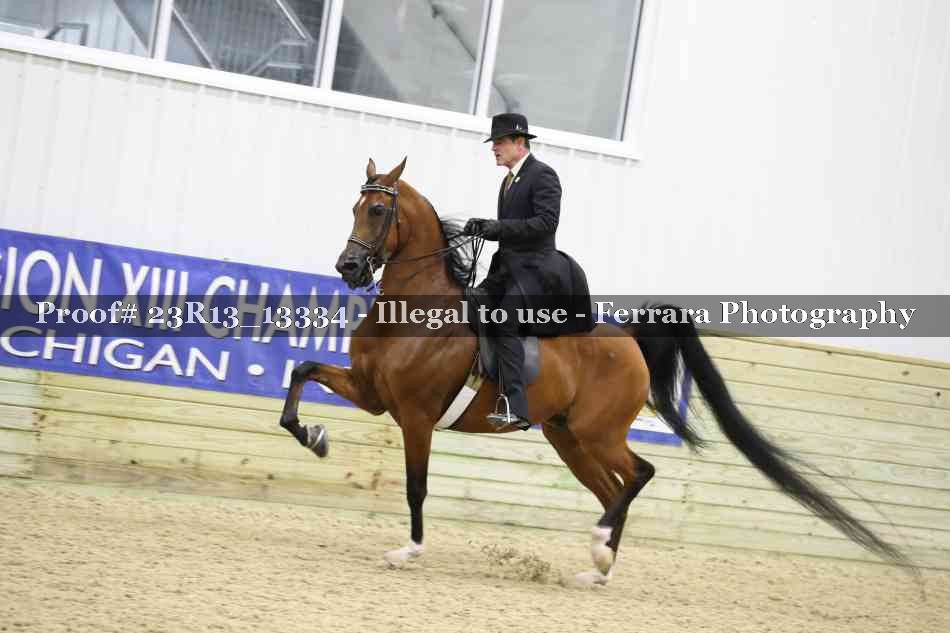 Proof 23R13_13334