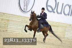 23R13_13336 proof