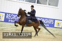 23R13_13338 proof