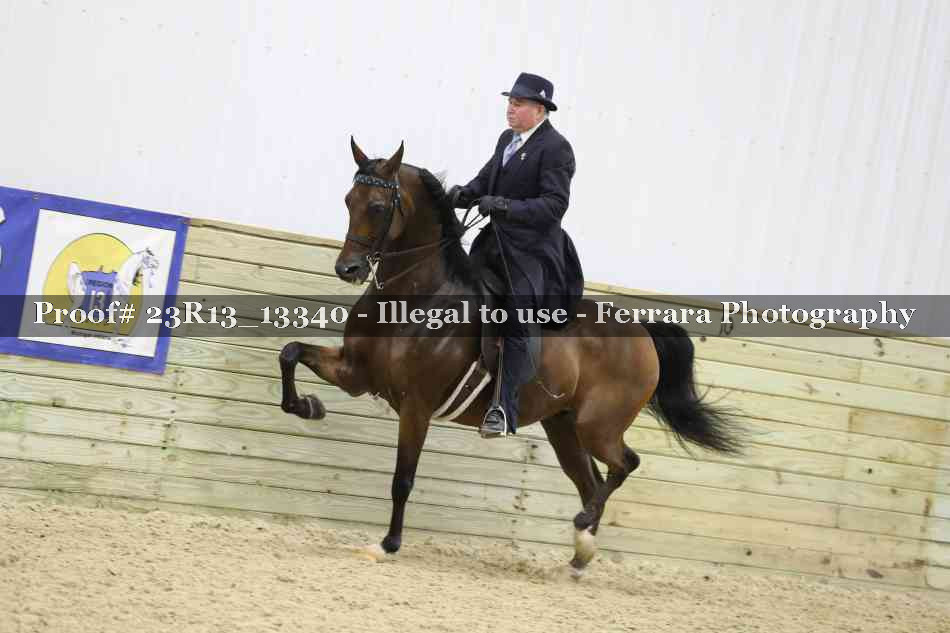 Proof 23R13_13340