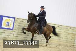 23R13_13340 proof