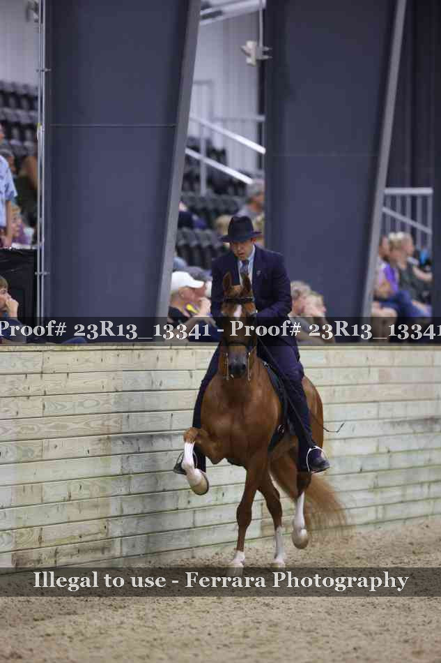 Proof 23R13_13341