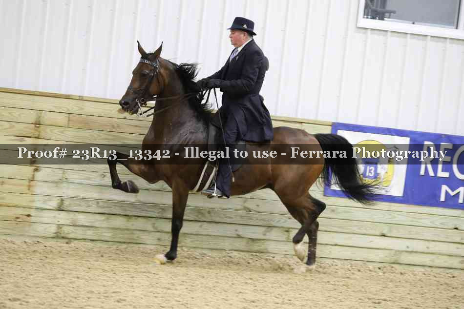 Proof 23R13_13342