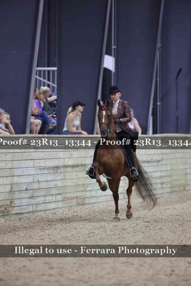 Proof 23R13_13344