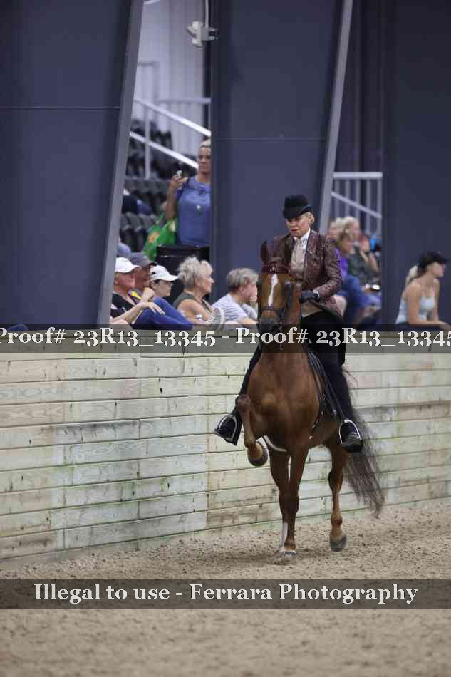 Proof 23R13_13345
