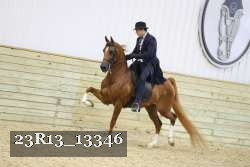 23R13_13346 proof