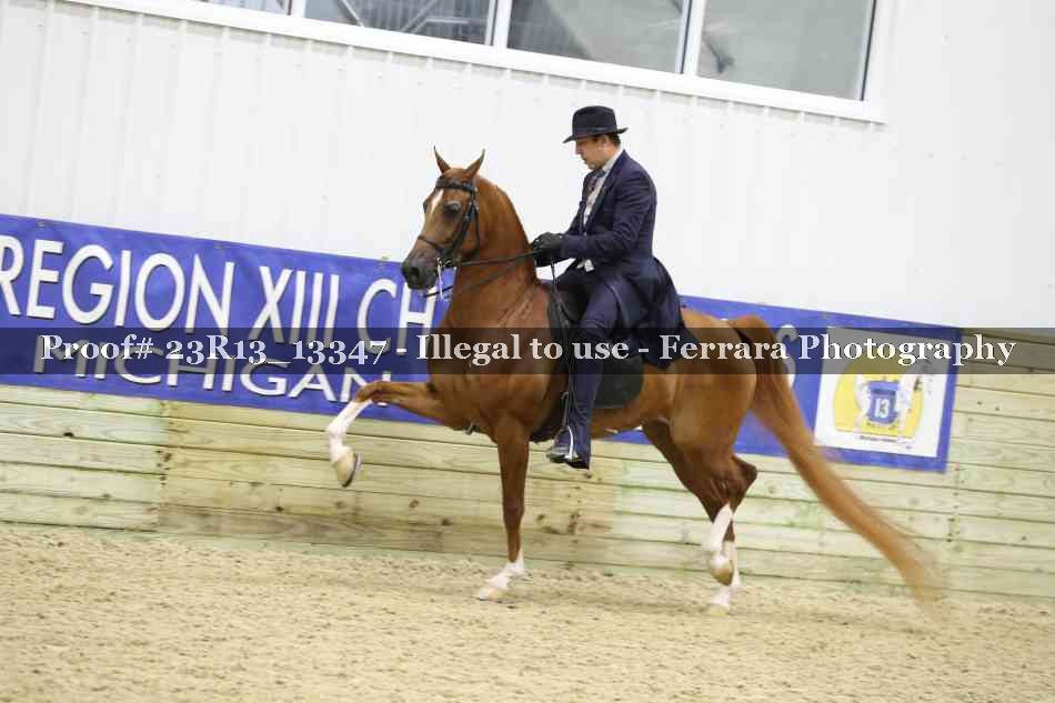 Proof 23R13_13347
