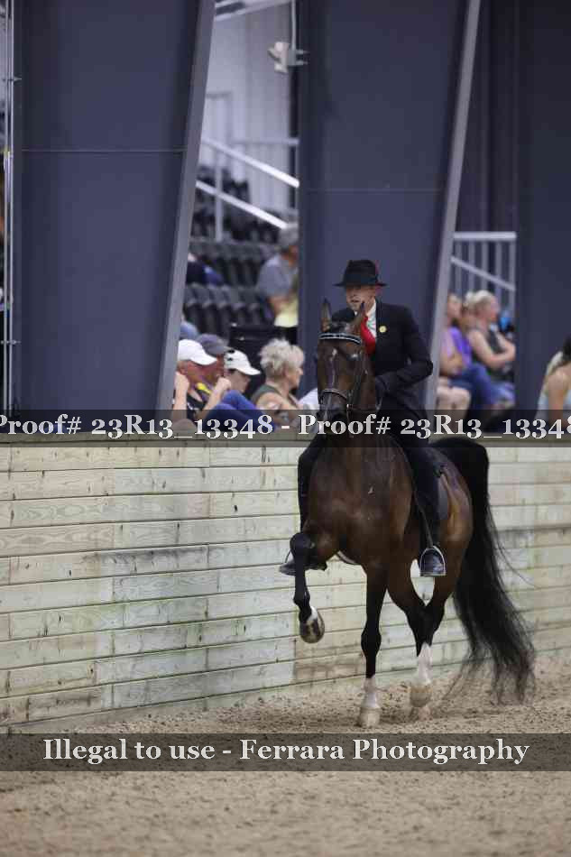 Proof 23R13_13348