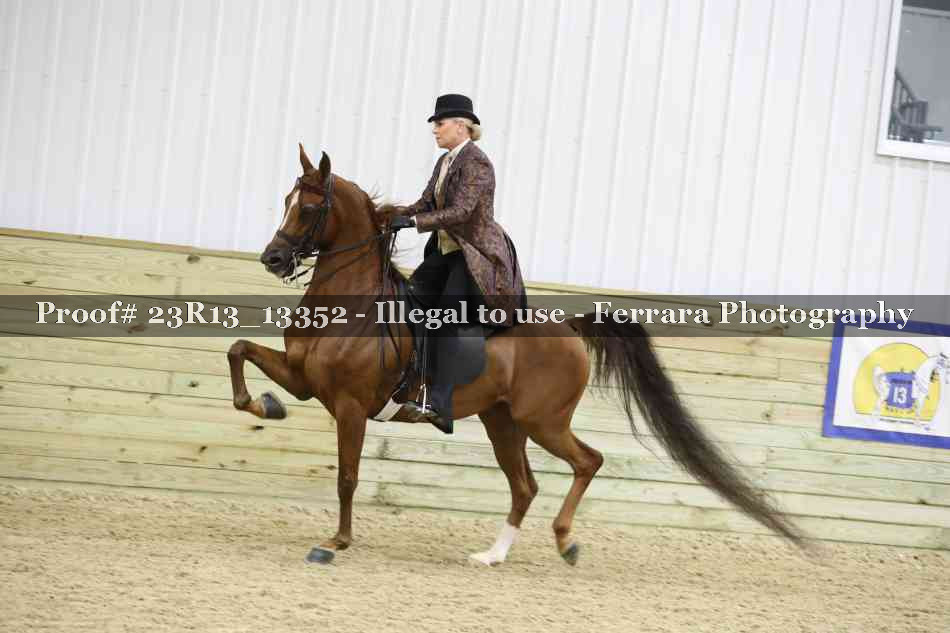 Proof 23R13_13352