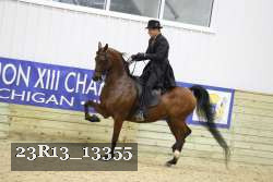 23R13_13355 proof