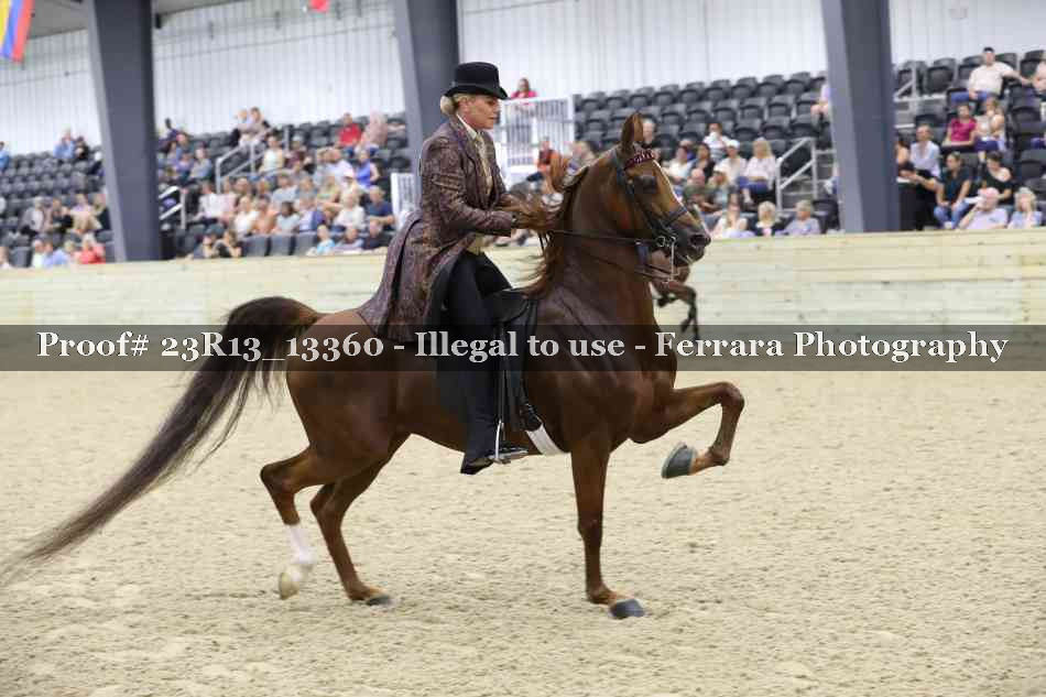 Proof 23R13_13360
