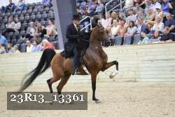 23R13_13361 proof