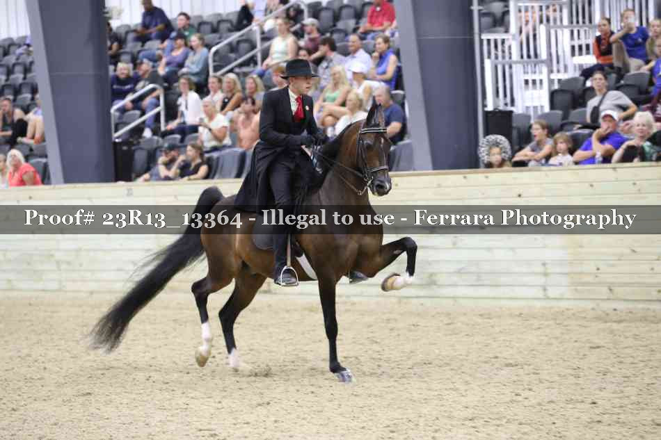 Proof 23R13_13364