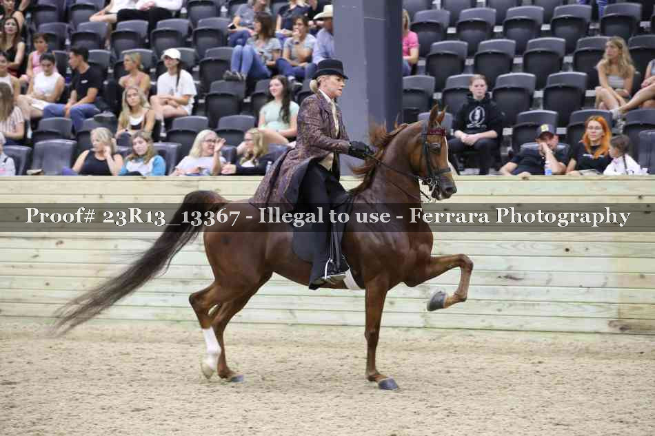 Proof 23R13_13367