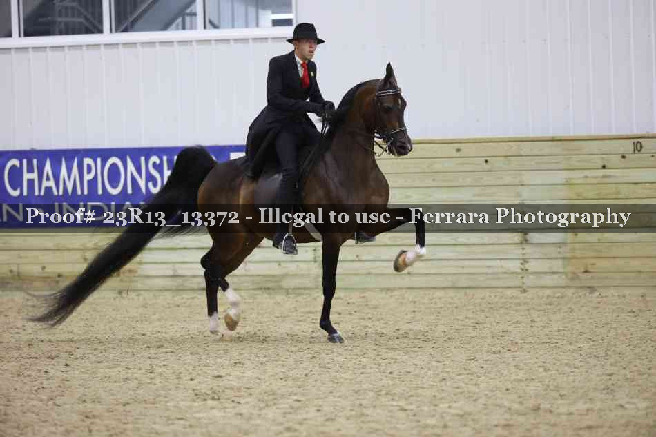 Proof 23R13_13372